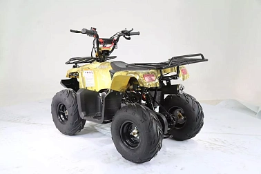 Квадроцикл MOTOLAND (МОТОЛЕНД) 110 RIDER