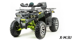 Квадроцикл PROMAX WILD 300 PRO "АНТИВИБРАЦИОННЫЙ"