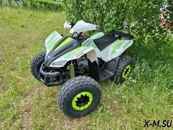 Квадроцикл PROMAX SPORT - PRO 180 (2024)